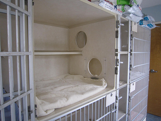 Separate Cat Condos - Reid Veterinary Center