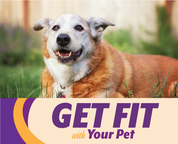 New Year's Resolutions | Reid Veterinary Center