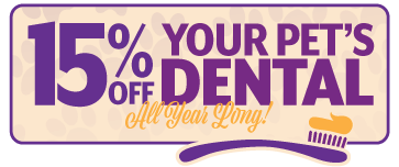 15% off your Pet's Dental All Year Long